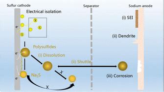 Inhibiting Shuttle Effect and Dendrite Growth in Sodium–Sulfur .